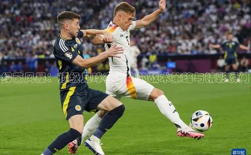 天辰测速登录地址