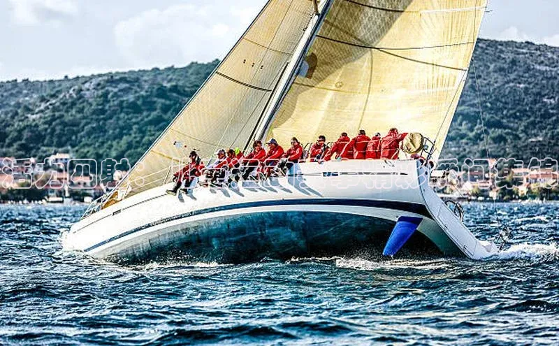 活力四射：儿童运动赛事精彩瞬间集锦