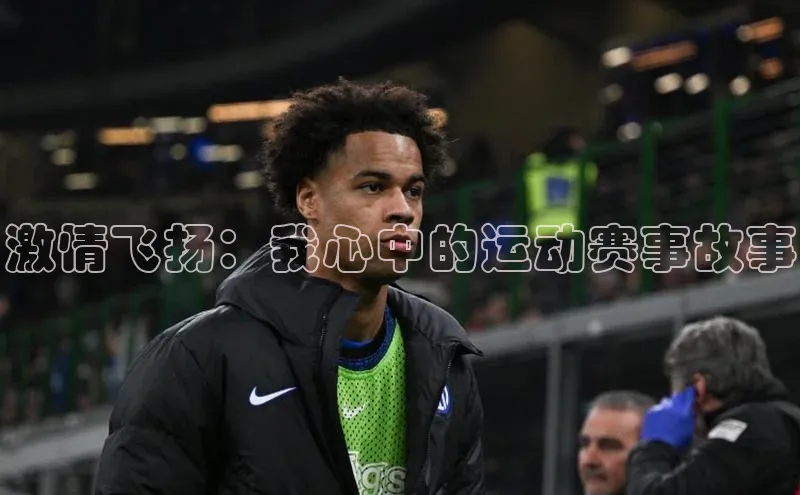 激情飞扬：我心中的运动赛事故事